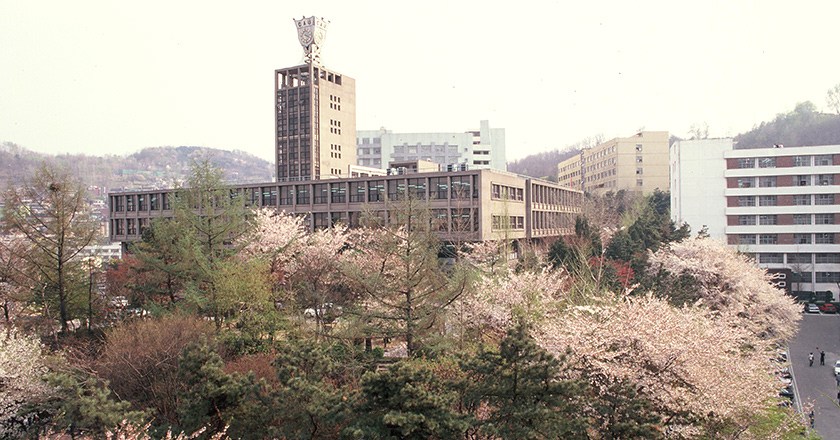 1991년 중앙도서관