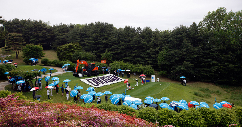 2019年比洞赛赛比赛场面